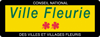 Ville Fleurie